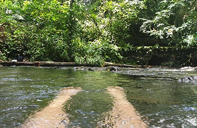 La Fortuna