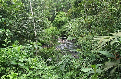 La Fortuna