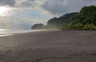 Parque Nacional Manuel Antonio