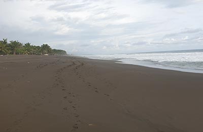 Manuel Antonio