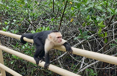 Parque Nacional Manuel Antonio