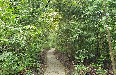 Manuel Antonio