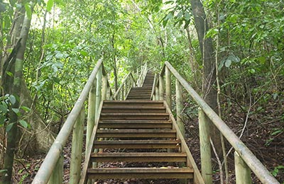 Manuel Antonio