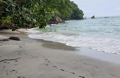 Manuel Antonio