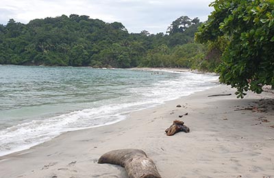 Manuel Antonio