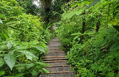 Manuel Antonio