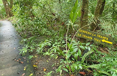 Parque Nacional Manuel Antonio