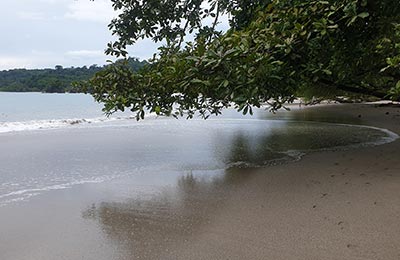 Manuel Antonio