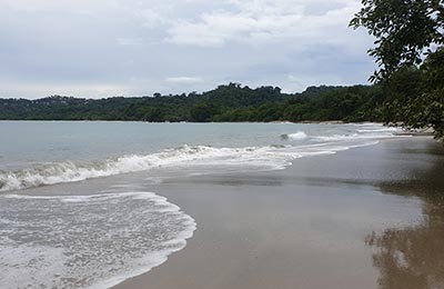 Manuel Antonio