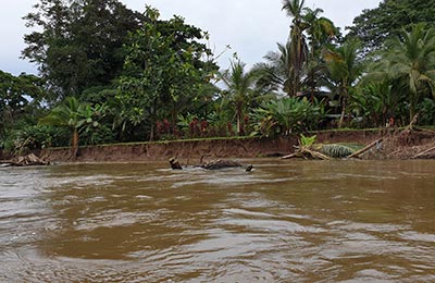 Tortuguero