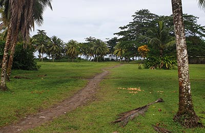 Tortuguero