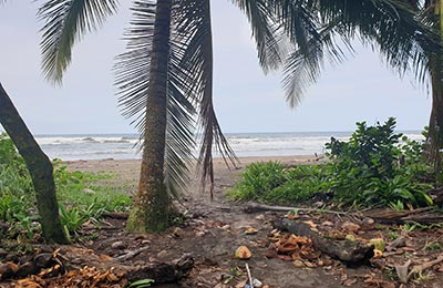 Tortuguero