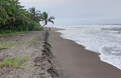 Tortuguero