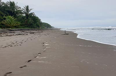 Tortuguero