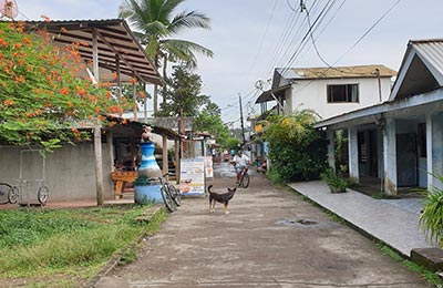 Tortuguero