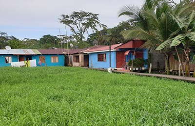 Tortuguero