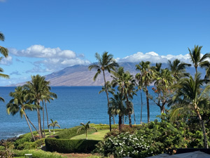 maui