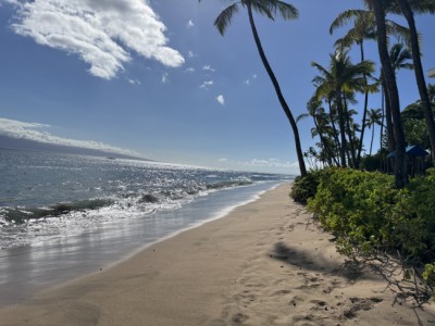 Maui