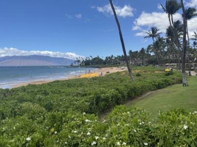 Maui