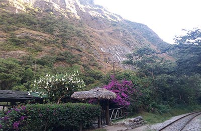 Machu Picchu