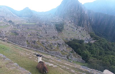 Machu Picchu