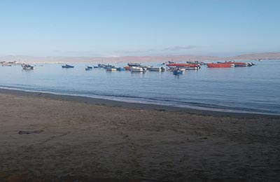 Paracas