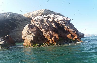 Paracas