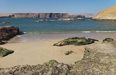 Paracas