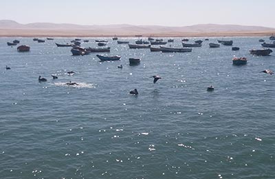 Paracas