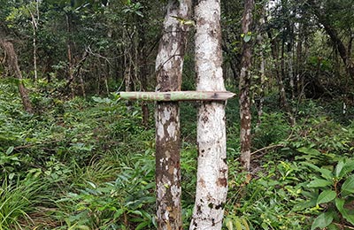 Koh Rong