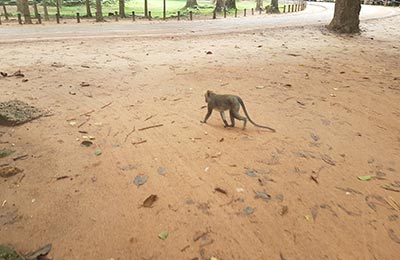 Siem Reap