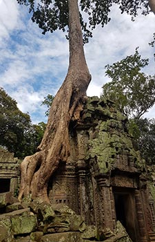 Siem Reap