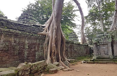 Siem Reap