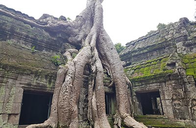 Siem Reap