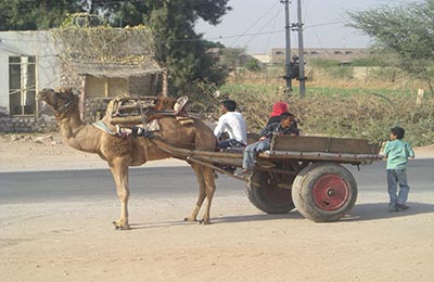 Bikaner y Deshnok