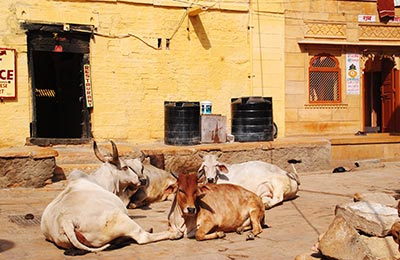 Jaisalmer