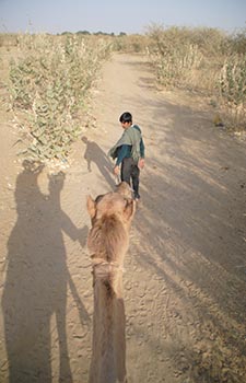 Jaisalmer