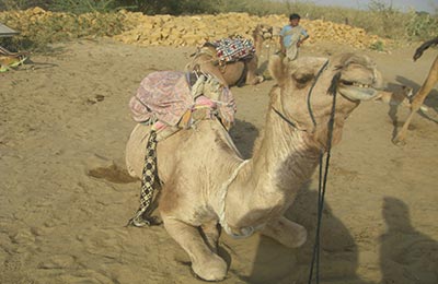 Jaisalmer