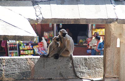 Ranakpur y Kumbhalharh