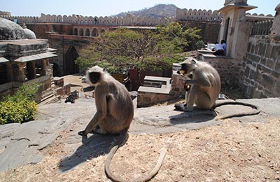 Ranakpur y Kumbhalharh