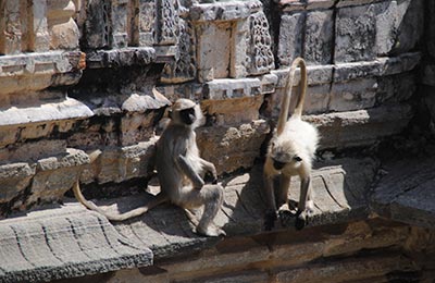 Ranakpur y Kumbhalharh