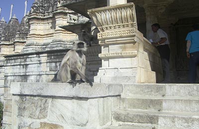 Ranakpur y Kumbhalharh