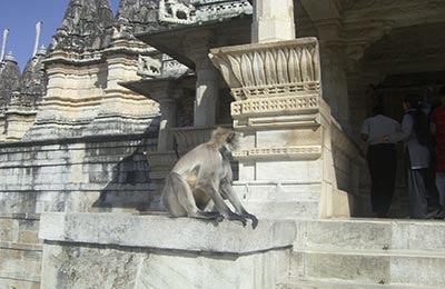 Ranakpur y Kumbhalharh