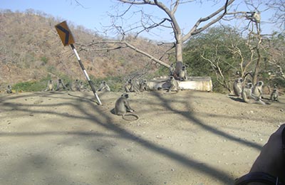 Ranakpur y Kumbhalharh