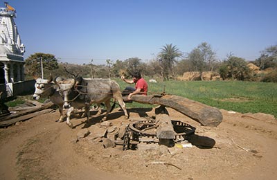 Ranakpur y Kumbhalharh