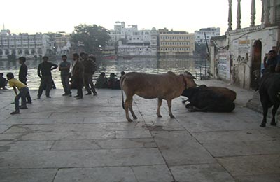 Udaipur