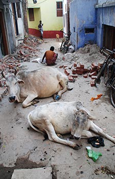 varanasi