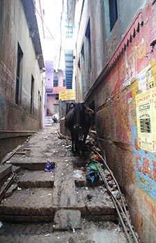 varanasi