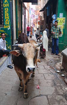 varanasi