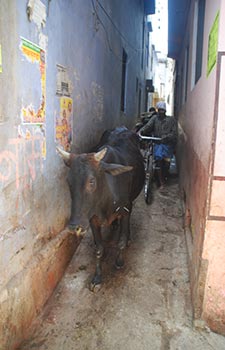 varanasi